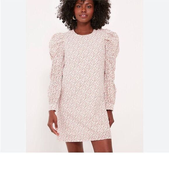 Hyacinth House Tuckernuck Textured Floral Puff Sleeve Clemons Mini Dress| Size L - Picture 1 of 10